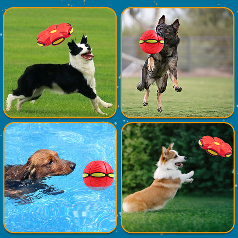 Owowpet Pet Toy Flying Saucer Ball - Durable, Non-toxic Material, Flashing Light, Versatile Design, Anti-slip Texture